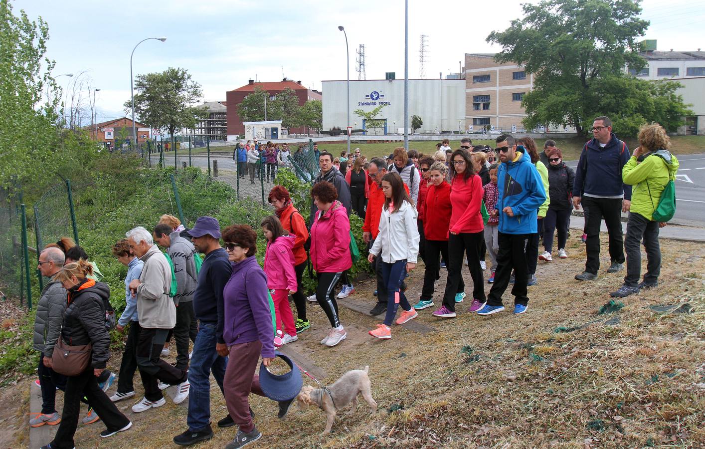 Paseo saludable en Logroño y Villamediana