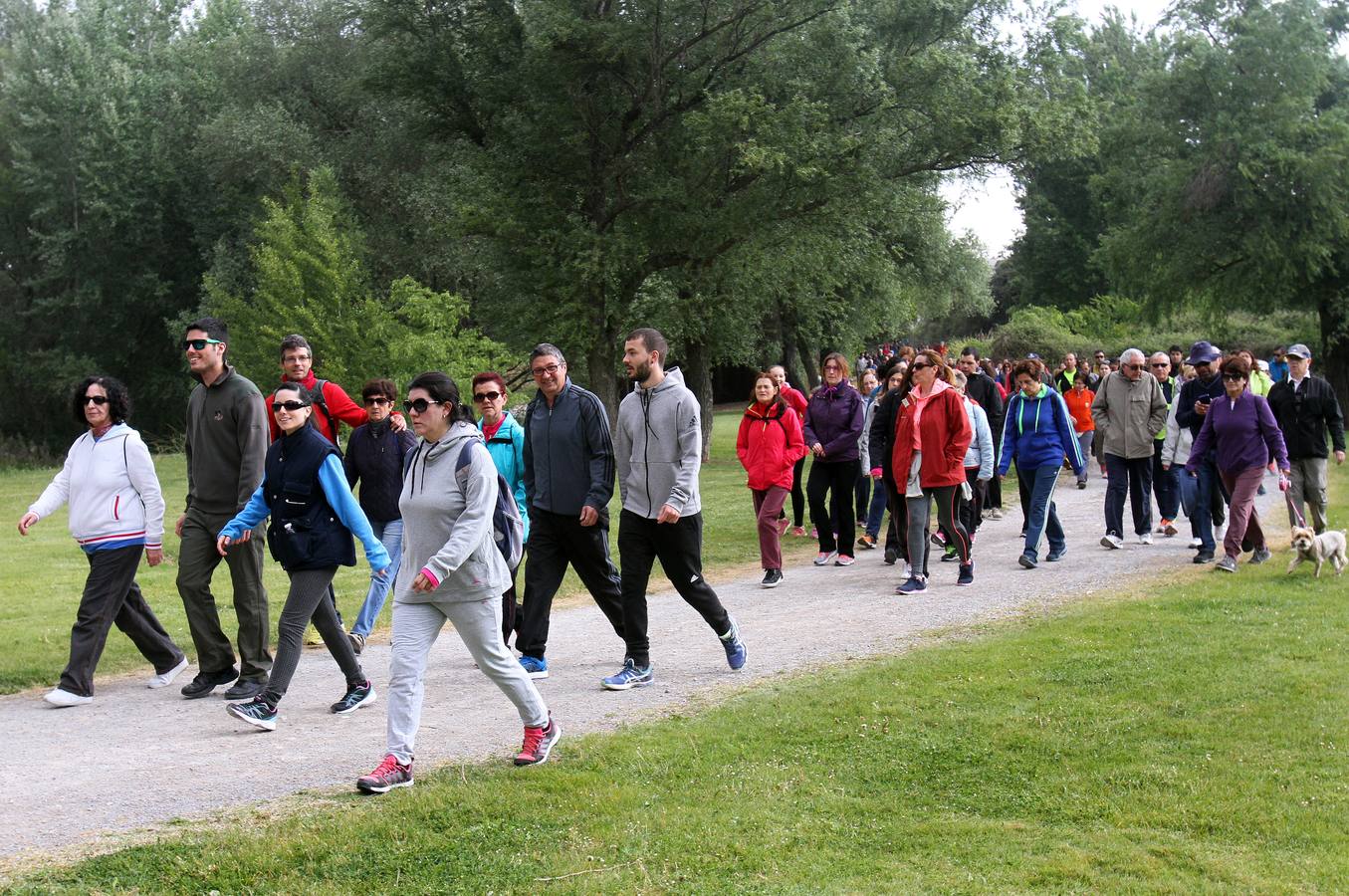 Paseo saludable en Logroño y Villamediana
