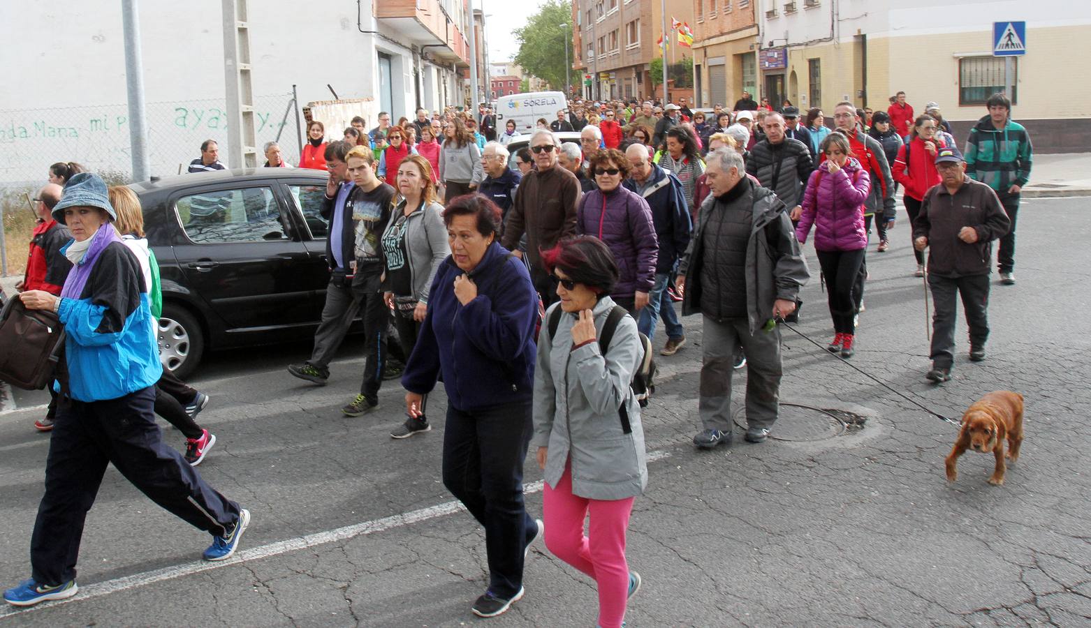 Paseo saludable en Logroño y Villamediana