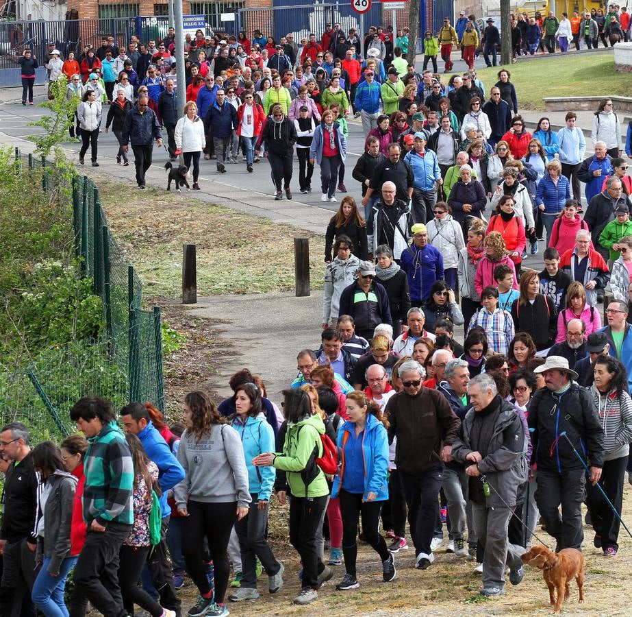 Paseo saludable en Logroño y Villamediana