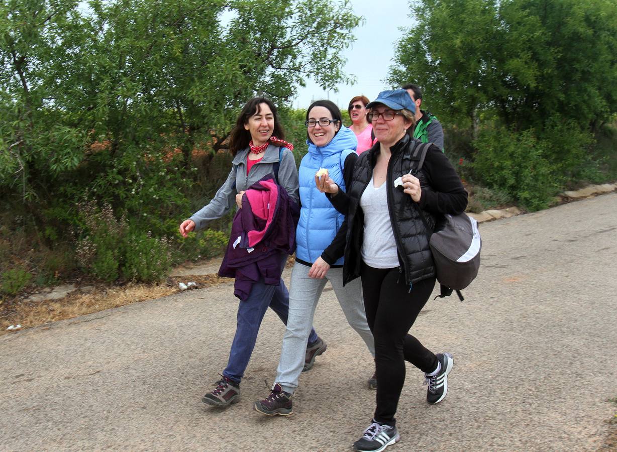 Paseo saludable en Logroño y Villamediana