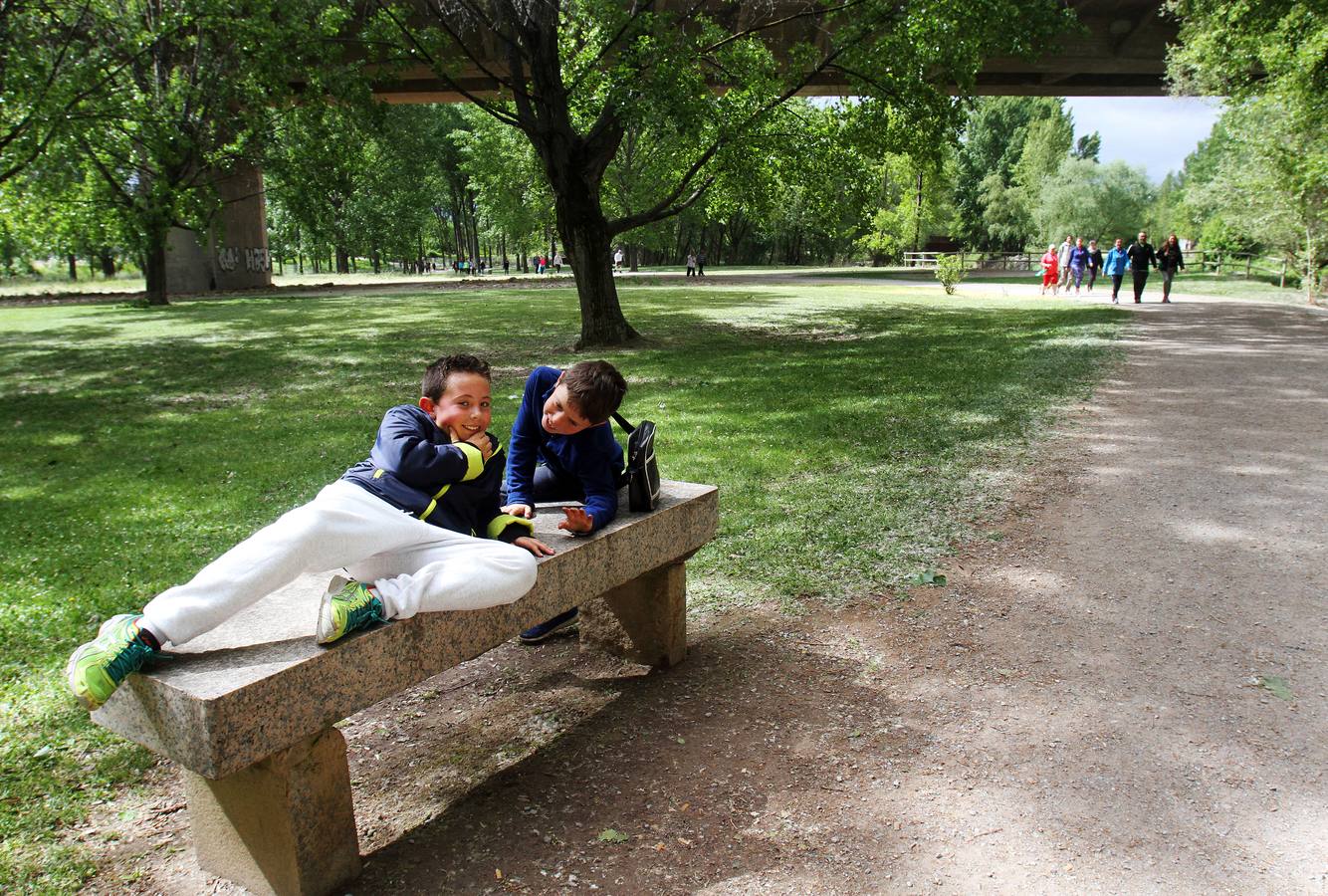 Paseo saludable en Logroño y Villamediana