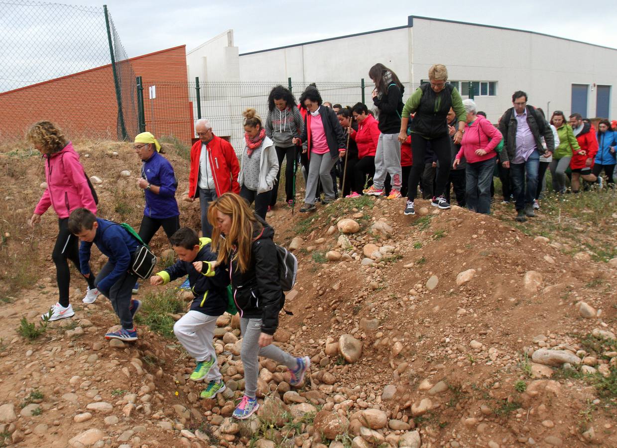 Paseo saludable en Logroño y Villamediana