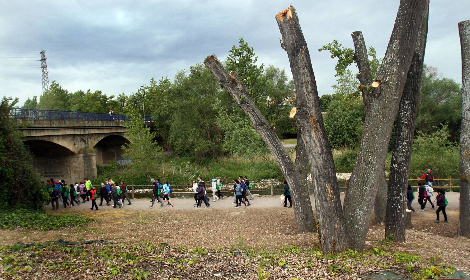 Paseo saludable en Logroño y Villamediana
