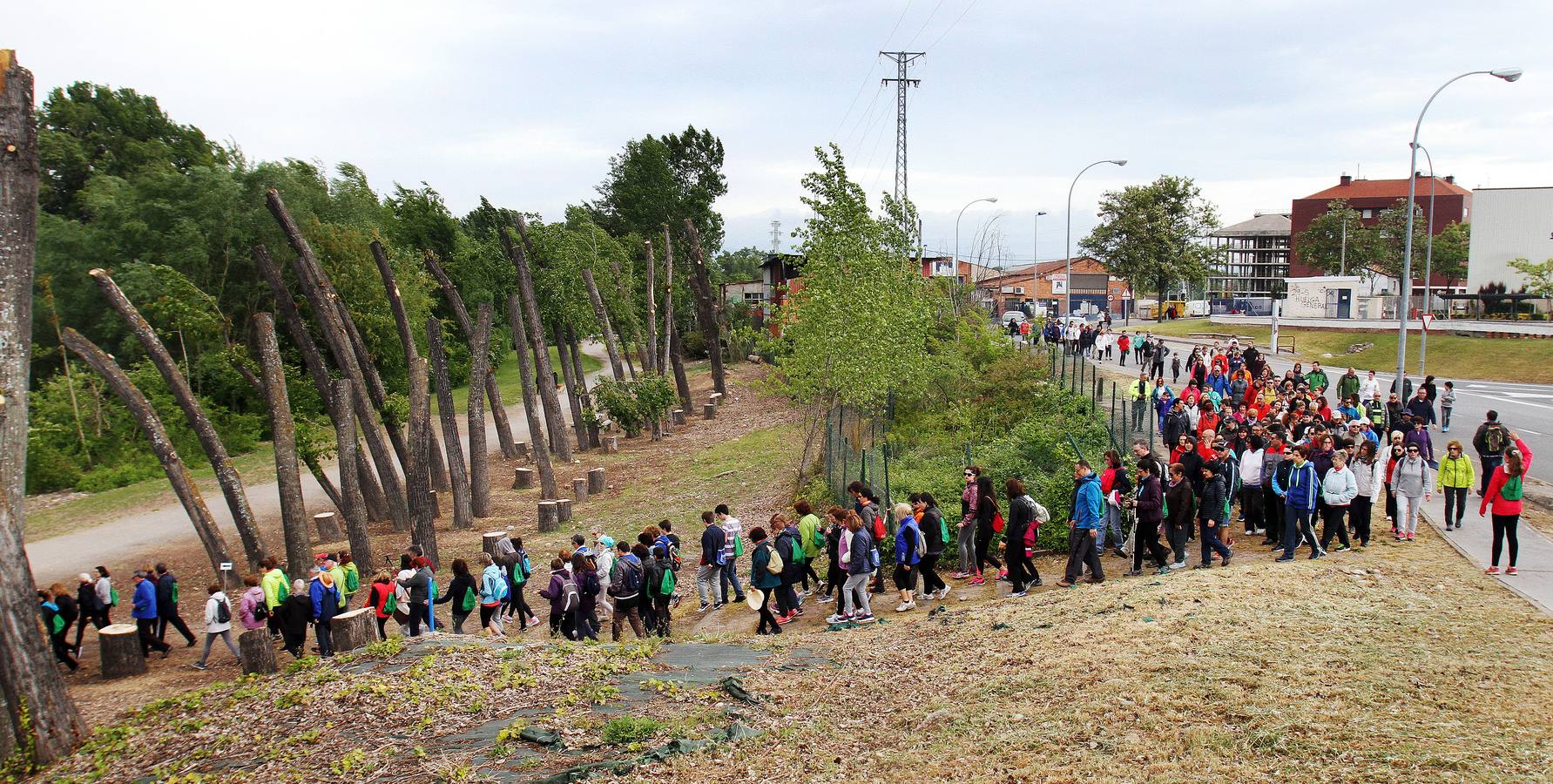 Paseo saludable en Logroño y Villamediana