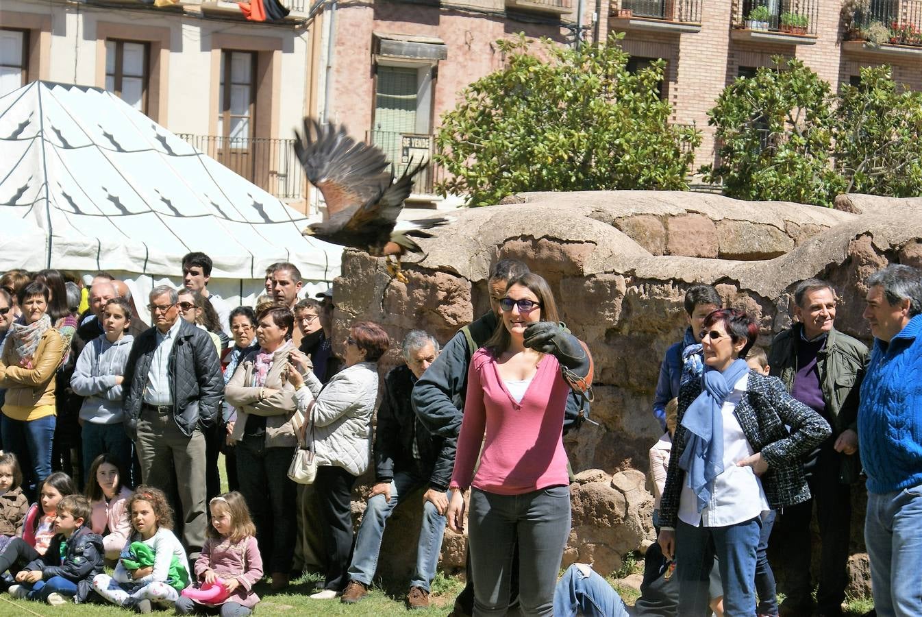 Aclamación de Fernando III en Nájera