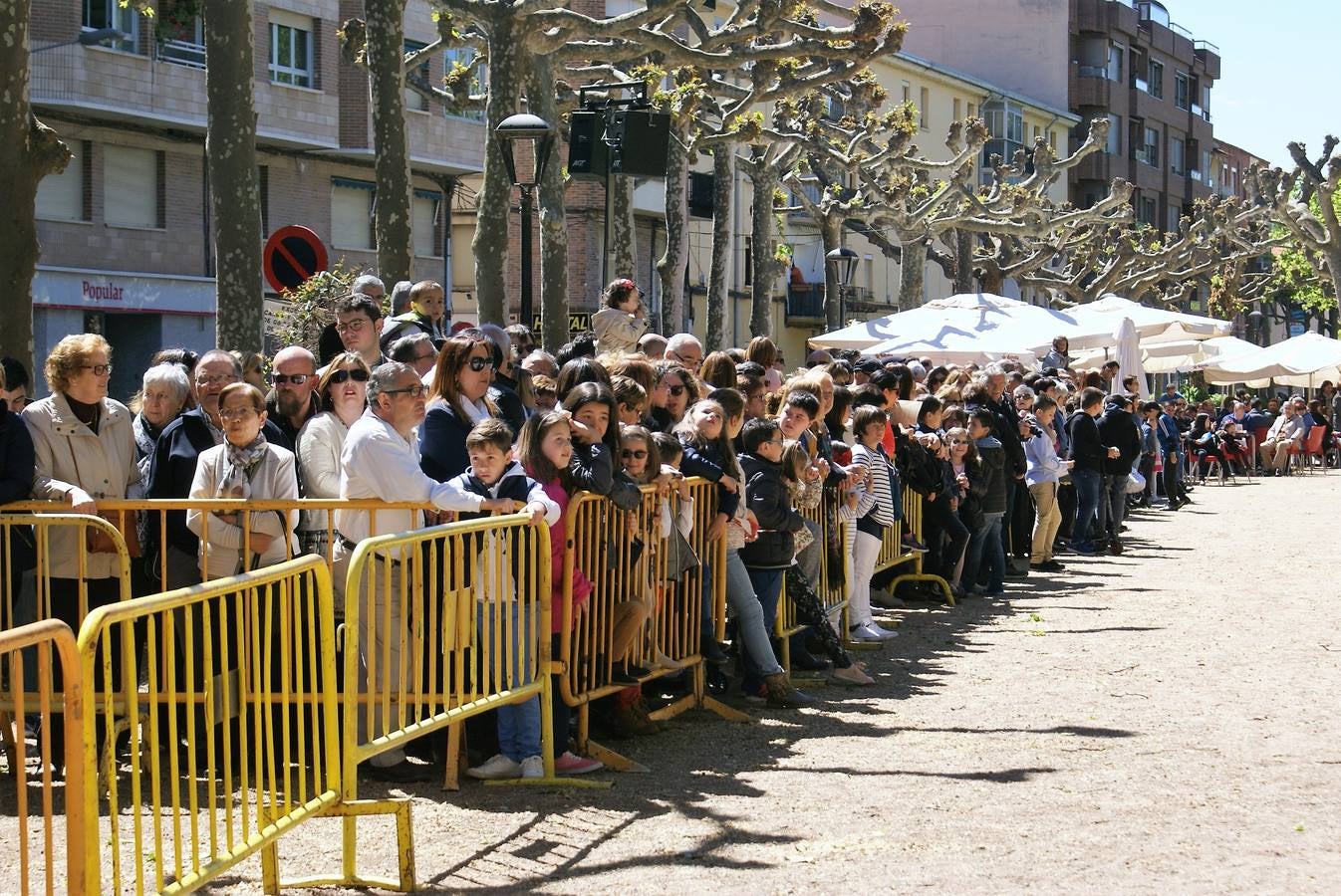 Aclamación de Fernando III en Nájera