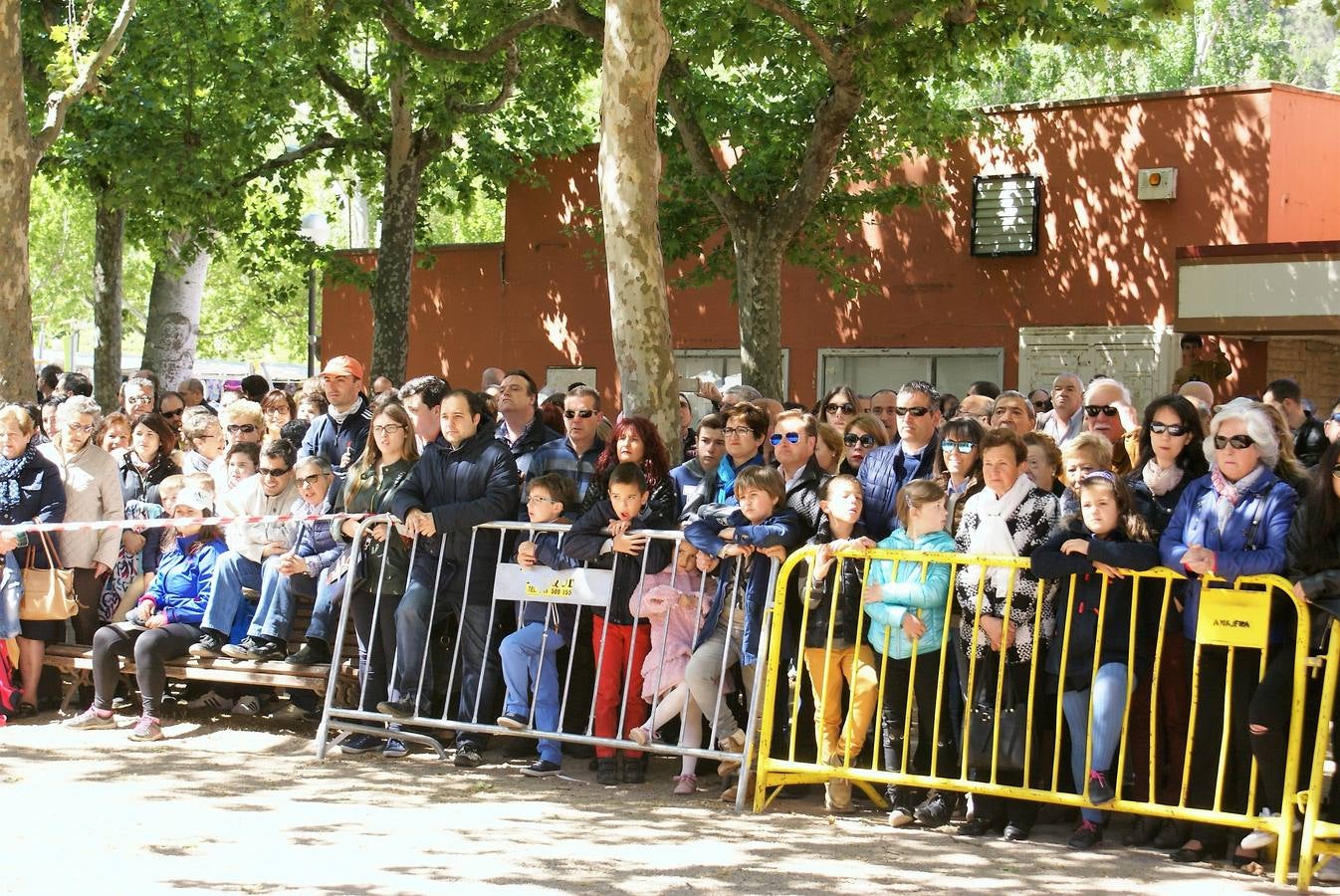 Aclamación de Fernando III en Nájera