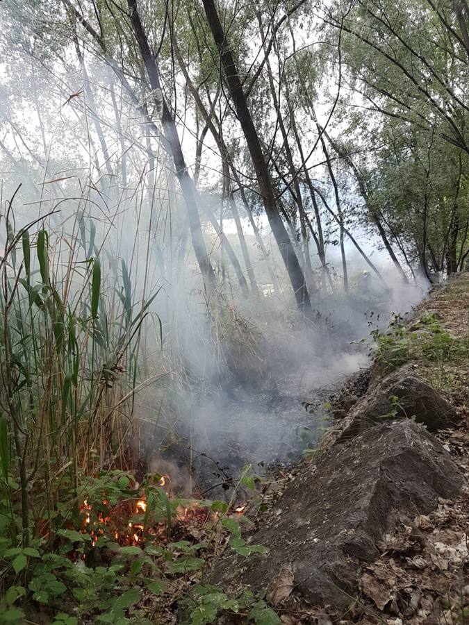 La actuación de los bomberos en el Parque del Iregua y el del Ebro para extinguir los incendios