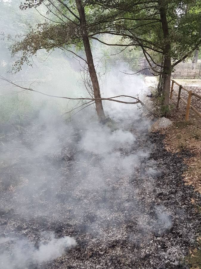 La actuación de los bomberos en el Parque del Iregua y el del Ebro para extinguir los incendios