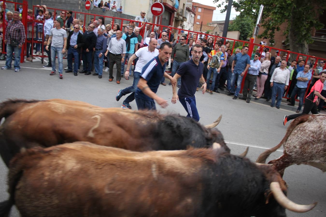 Fiestas en Alfaro: el sábado