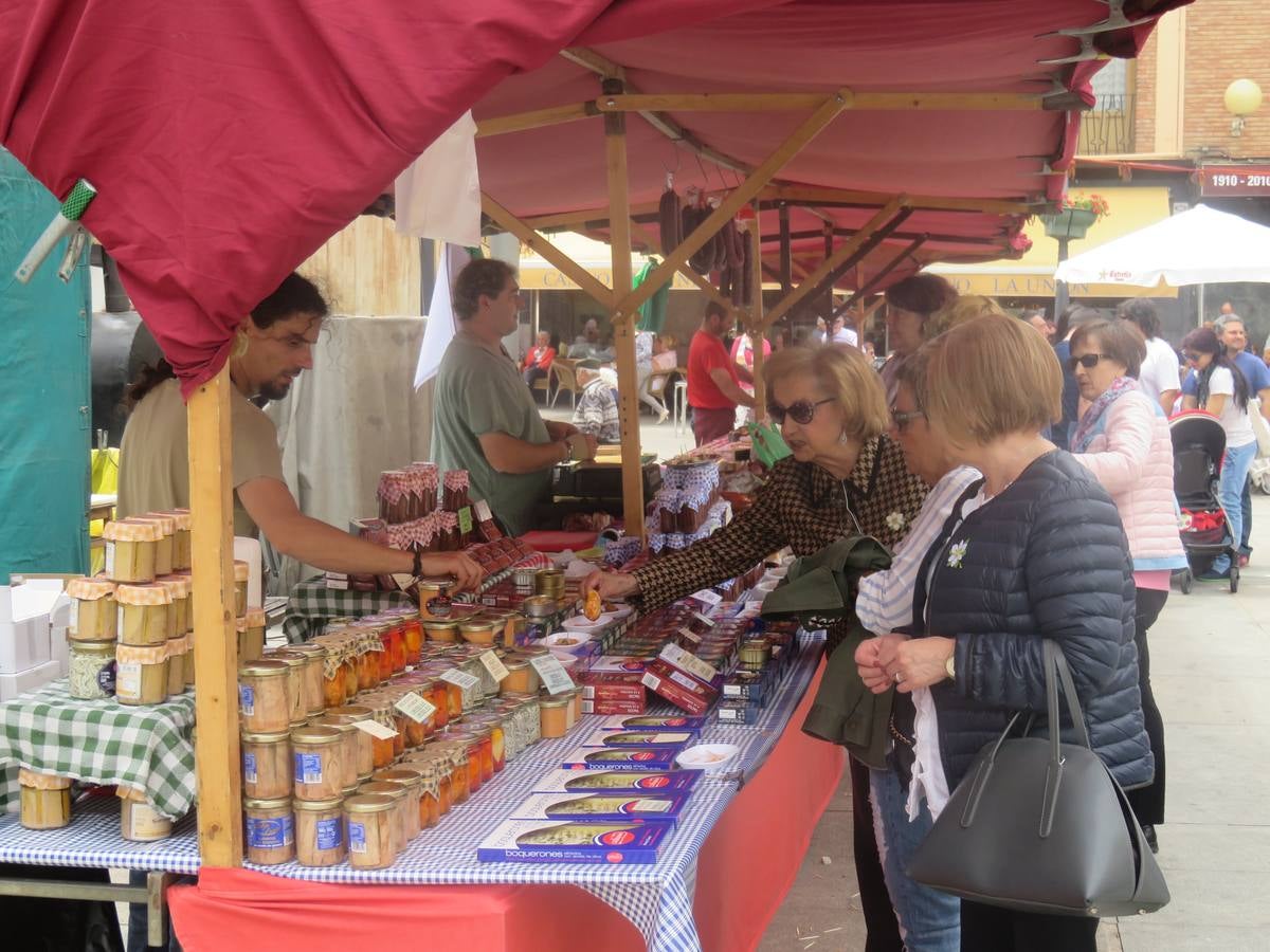 Fiestas en Alfaro: el sábado