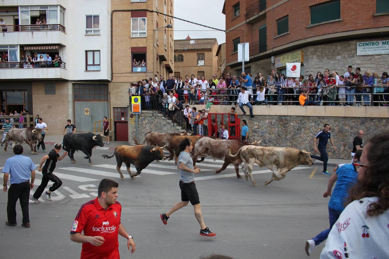 Fiestas en Alfaro: el sábado