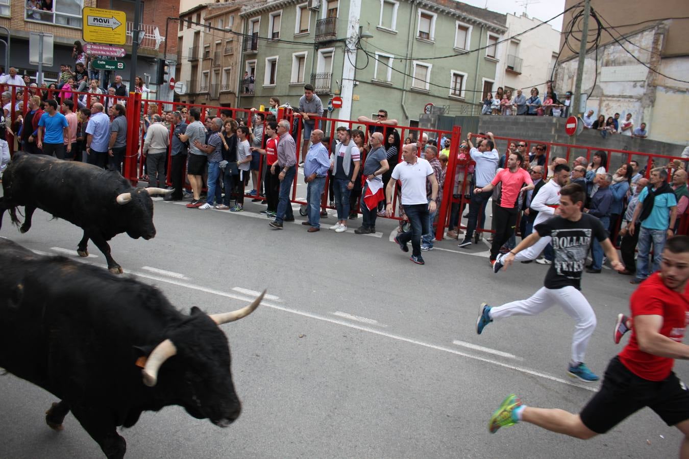 Fiestas en Alfaro: el sábado