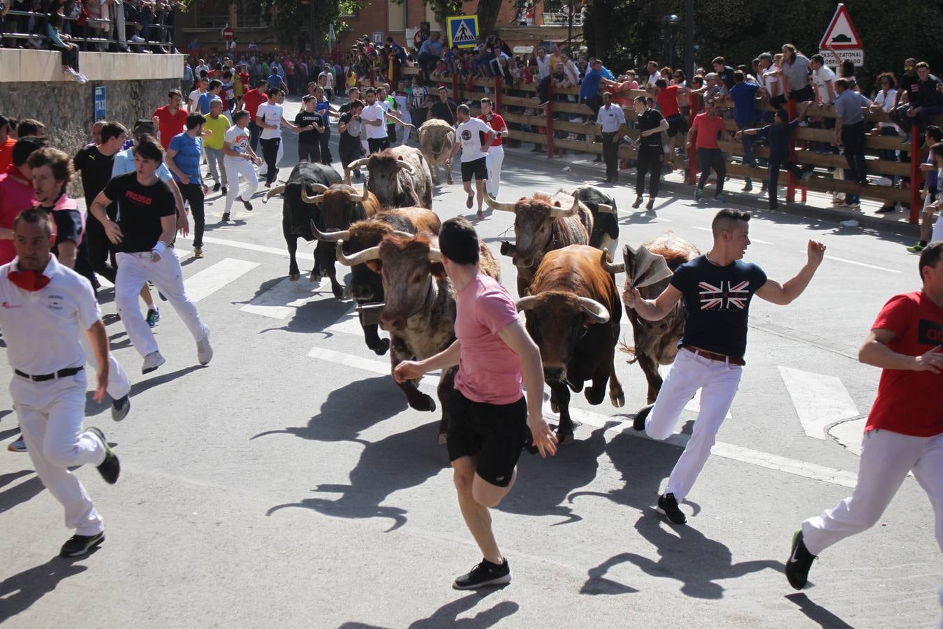 Fiestas de Alfaro: el domingo