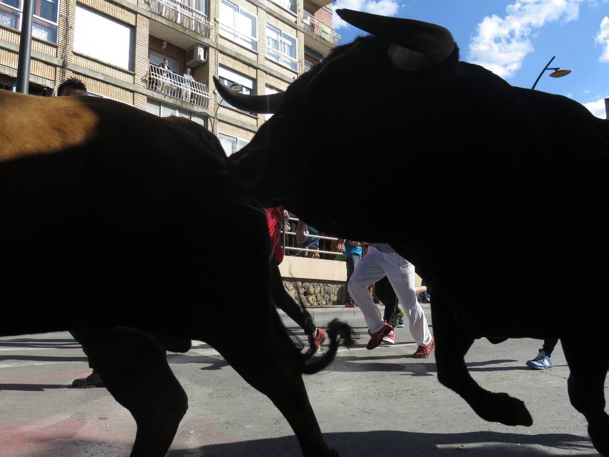 Fiestas de Alfaro: el domingo