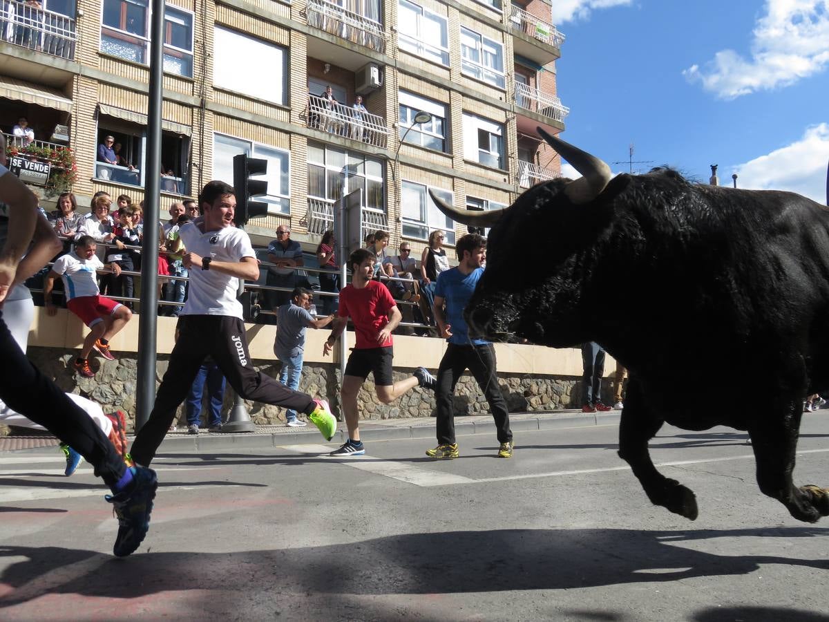 Fiestas de Alfaro: el domingo