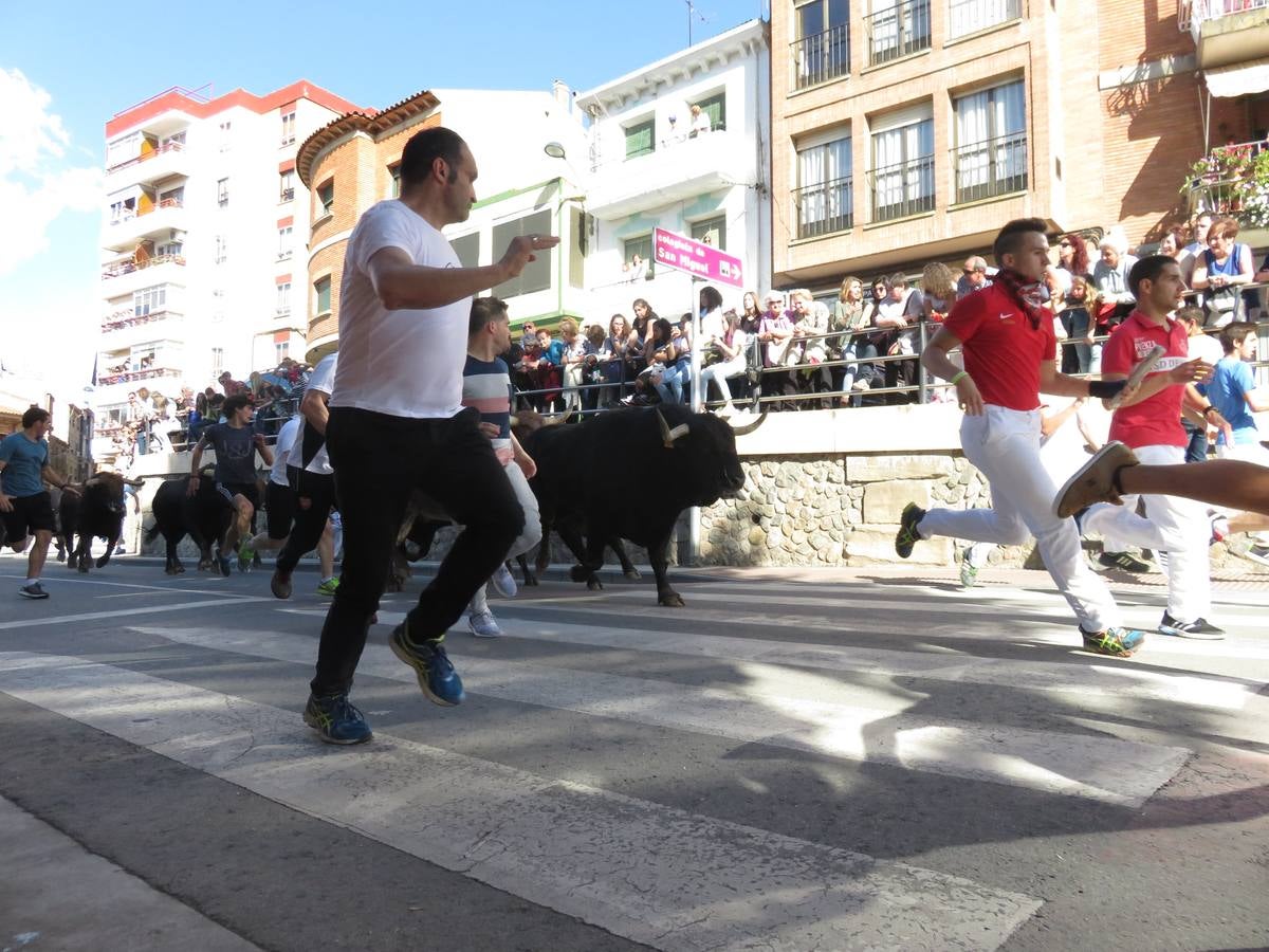 Fiestas de Alfaro: el domingo