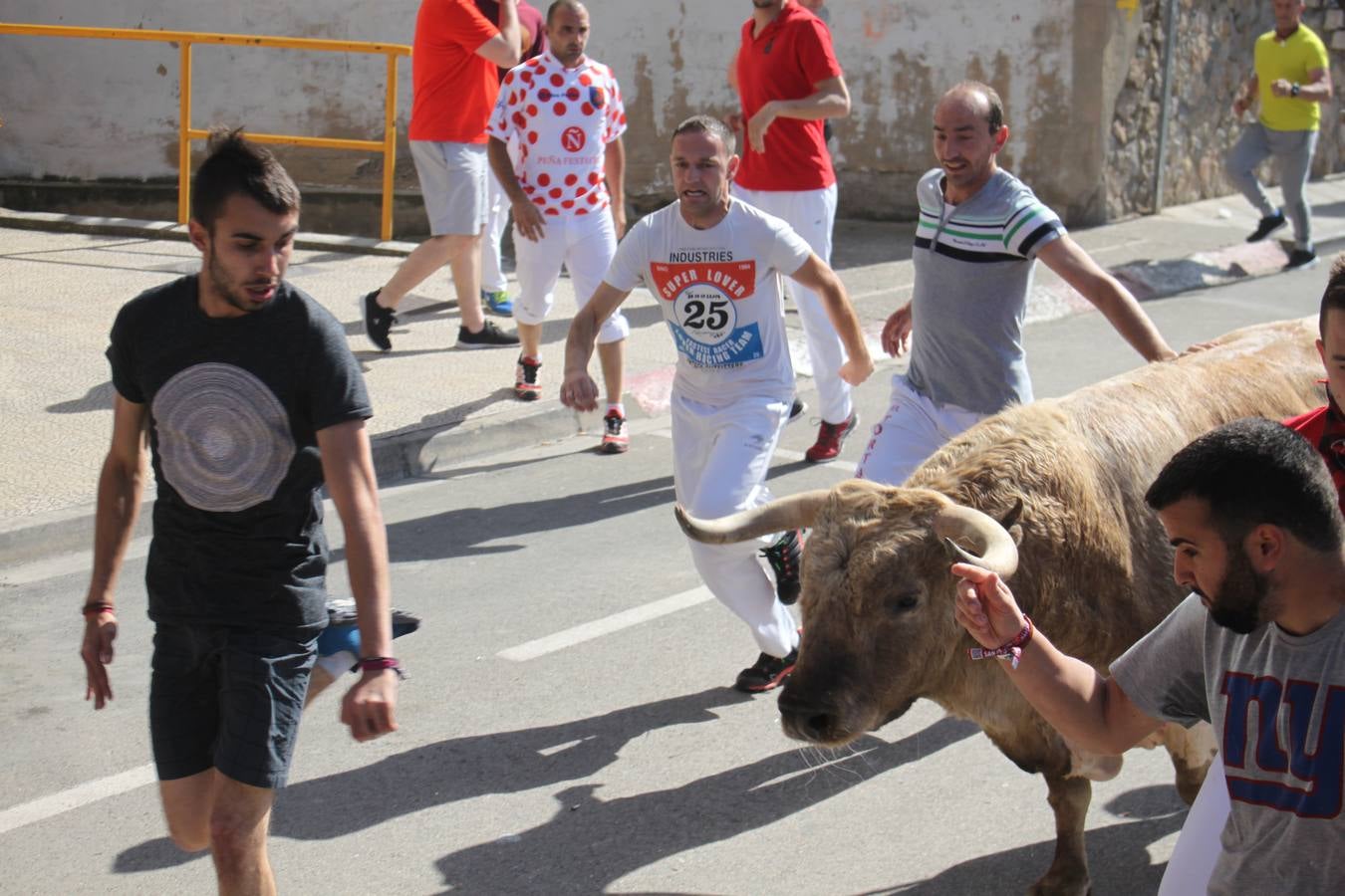 Fiestas de Alfaro: el domingo