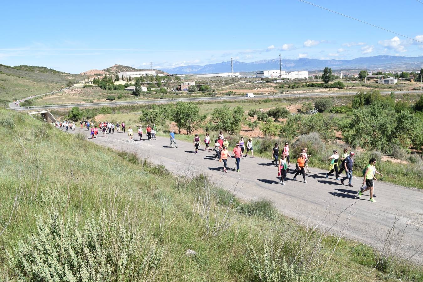 Más de mil personas en el tercer paseo saludable