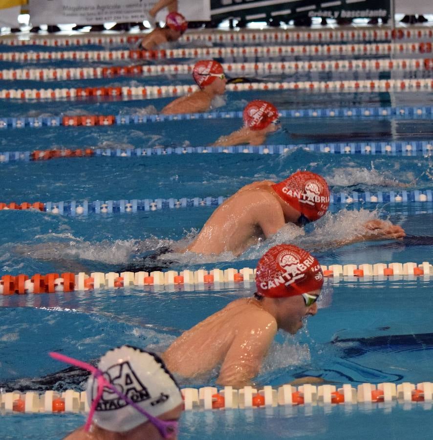 II Torneo Fiora Gran Premio Club Natación Logroño