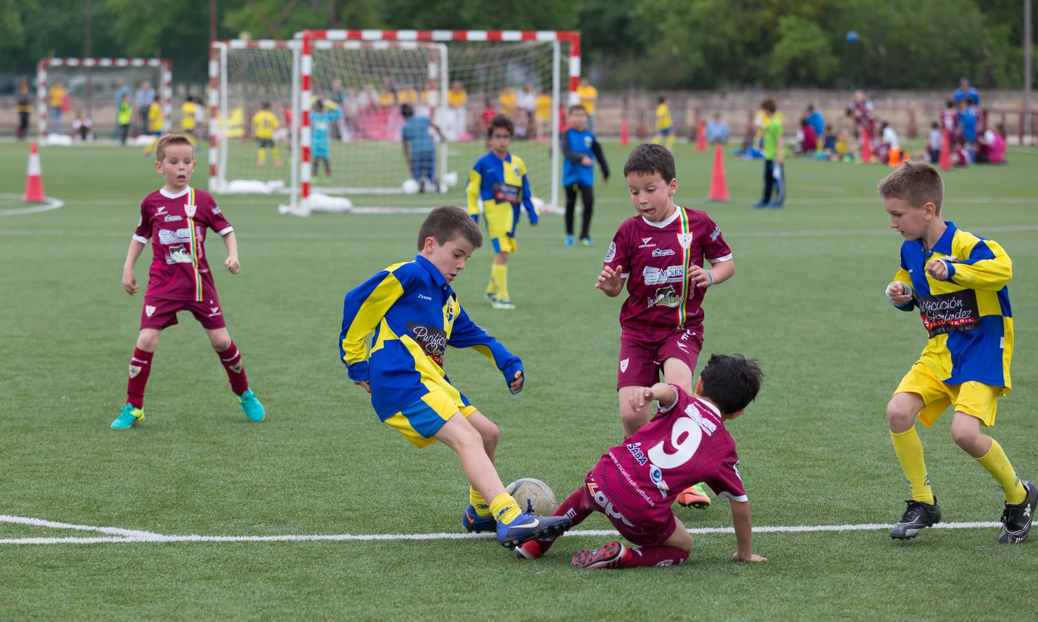 Torneo del EDF Logroño