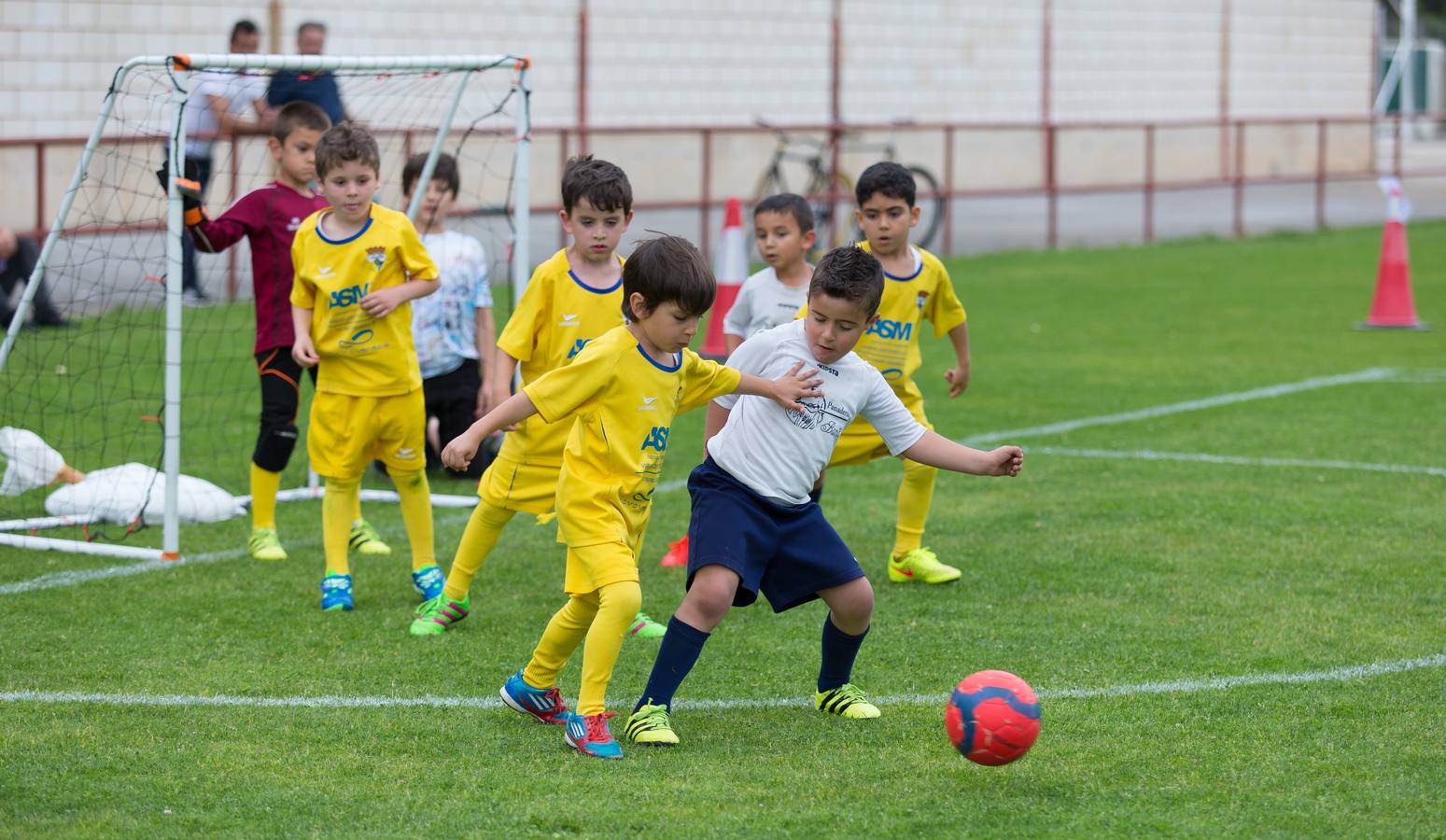 Torneo del EDF Logroño