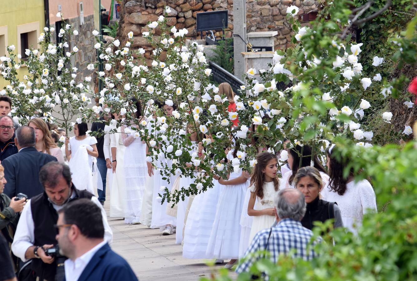 Procesión de las doncellas en Sorzano