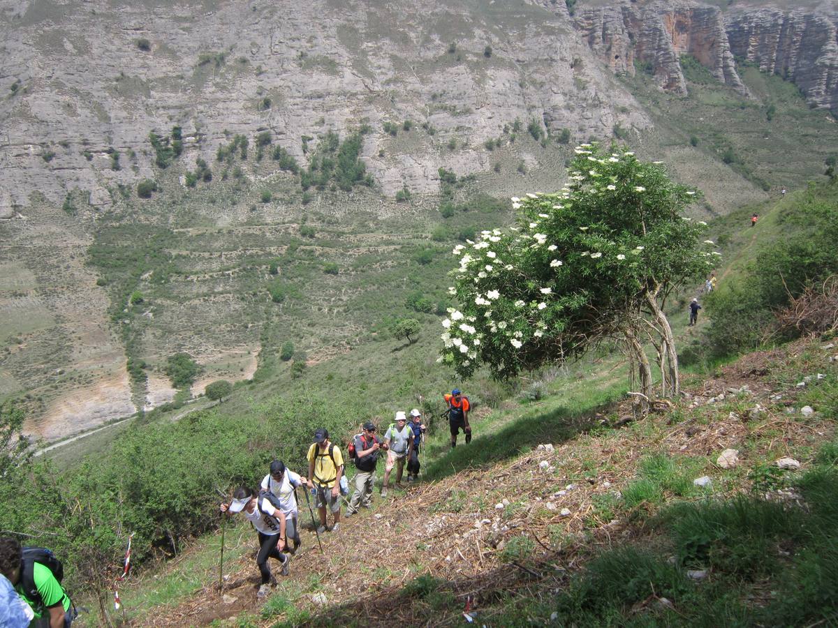 Travesía de Anguiano