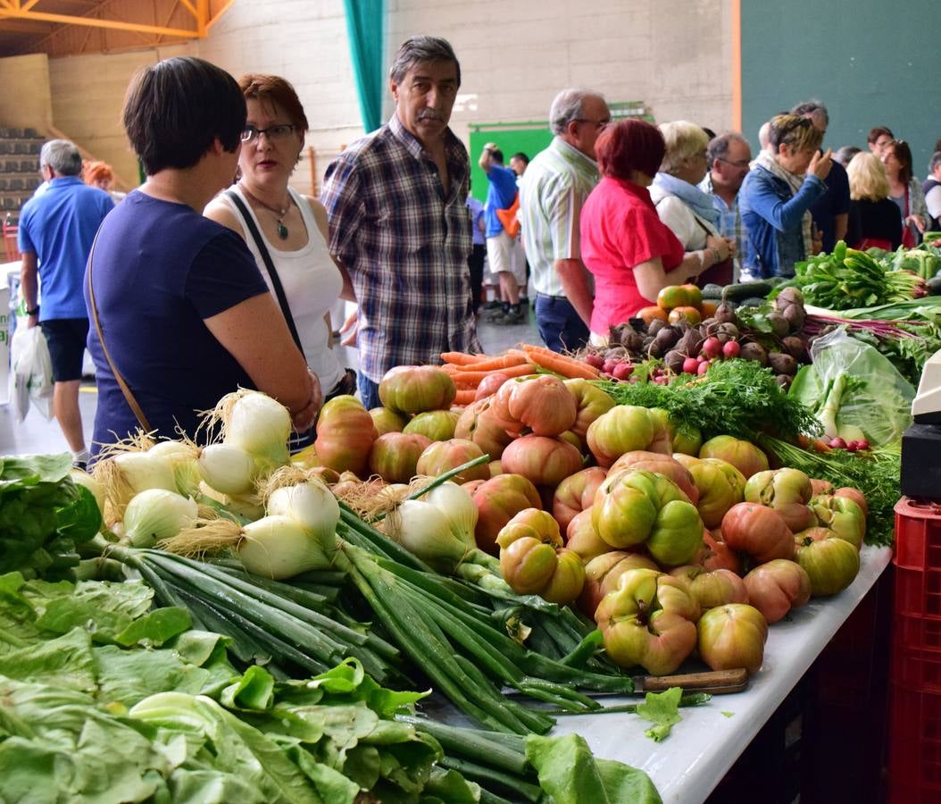 El Mercado de Varea (II)