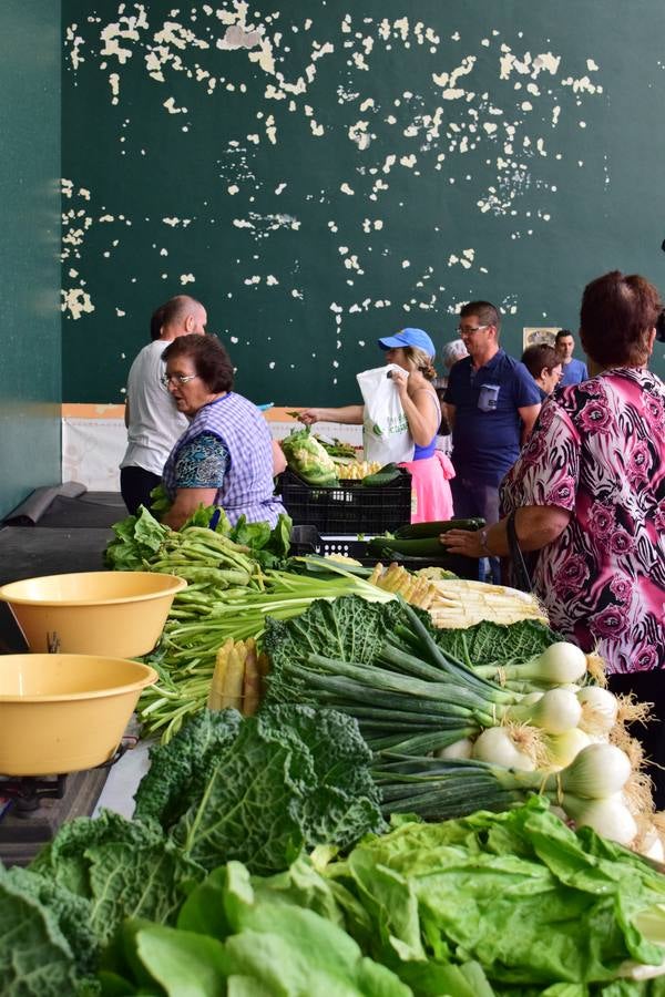 El Mercado de Varea (I)