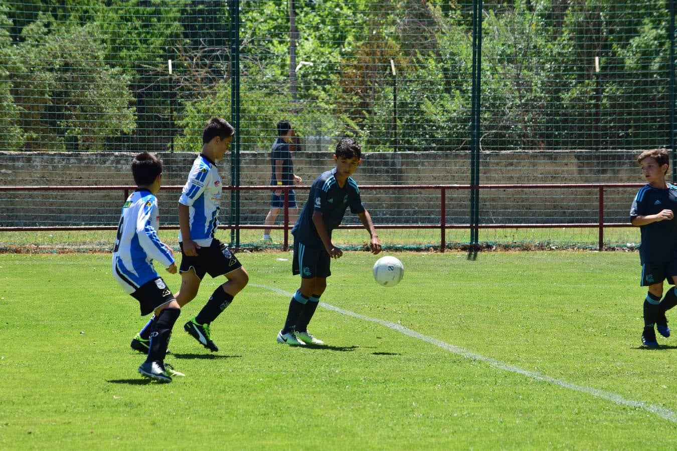 XIII Trofeo Alevín San Bernabé del Valvanera