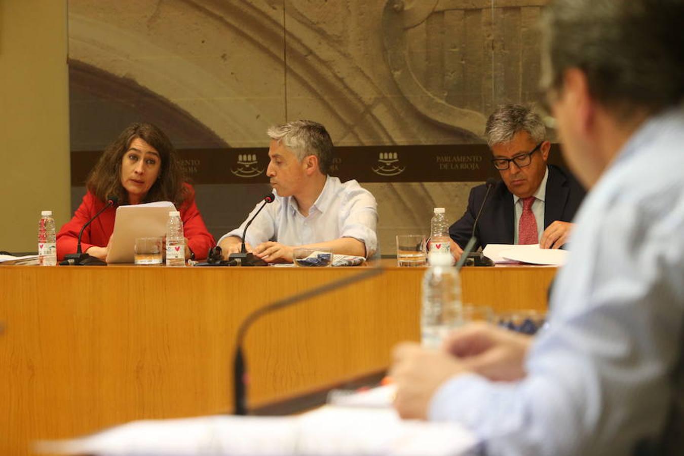 Comisión parlamentaria por los aparcamientos del San Pedro