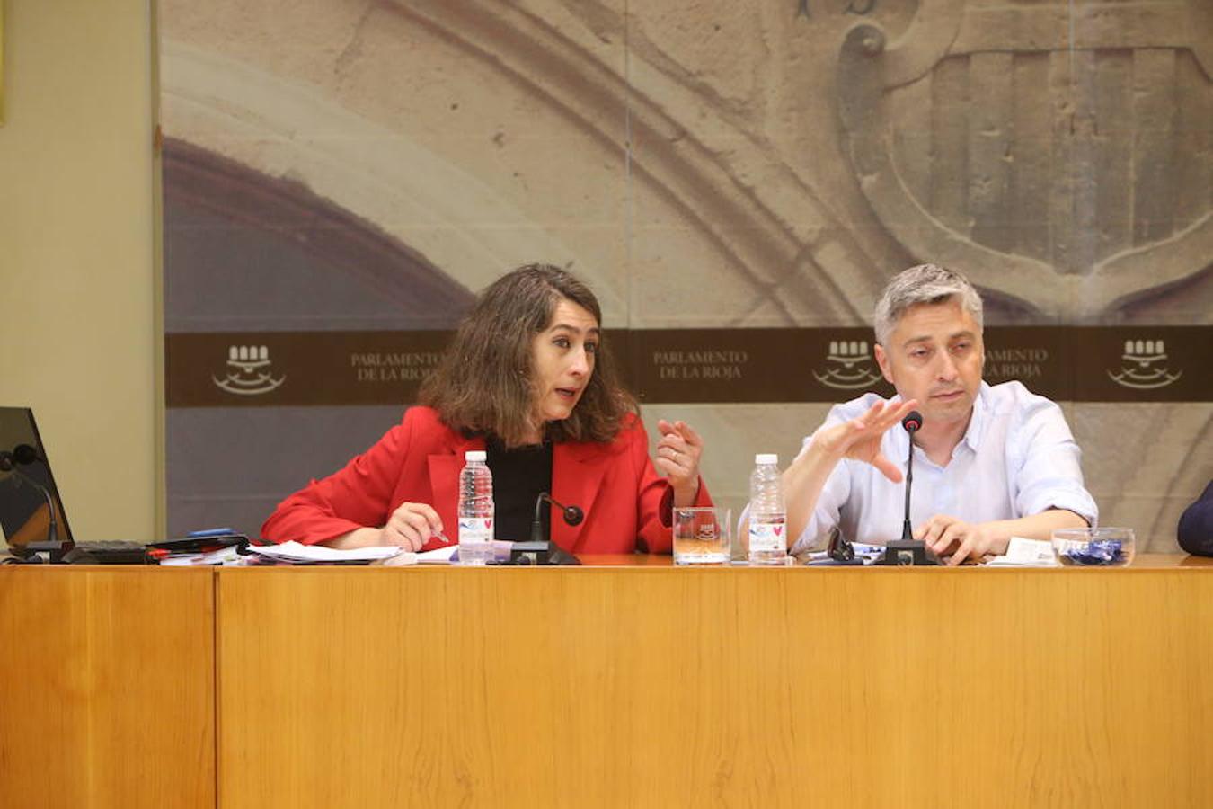 Comisión parlamentaria por los aparcamientos del San Pedro