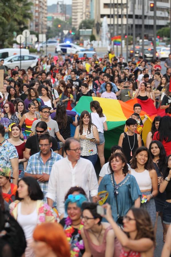 Manifestación del orgullo LGTBi en Logroño