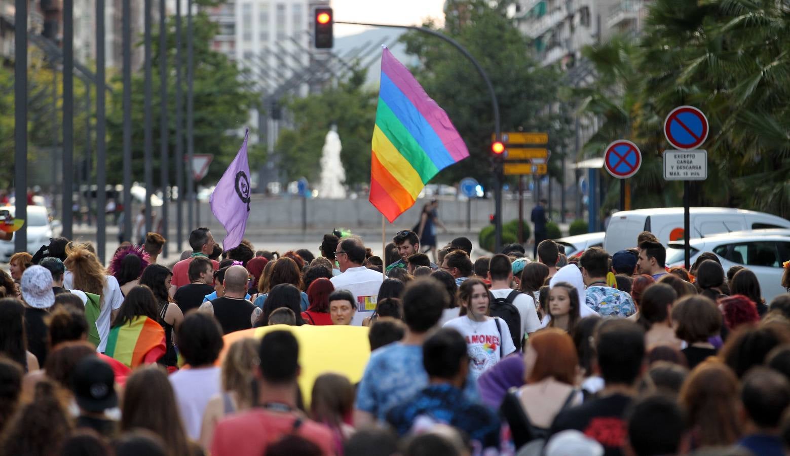 Manifestación del orgullo LGTBi en Logroño