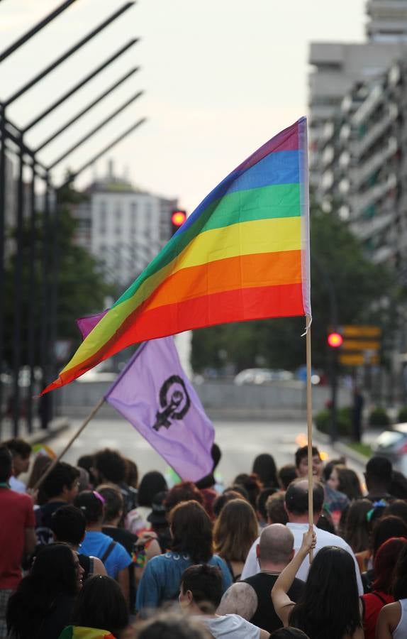 Manifestación del orgullo LGTBi en Logroño