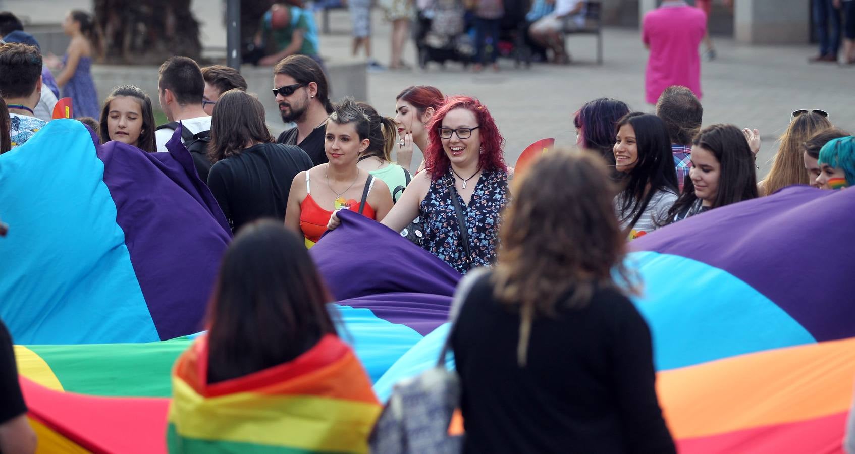 Manifestación del orgullo LGTBi en Logroño