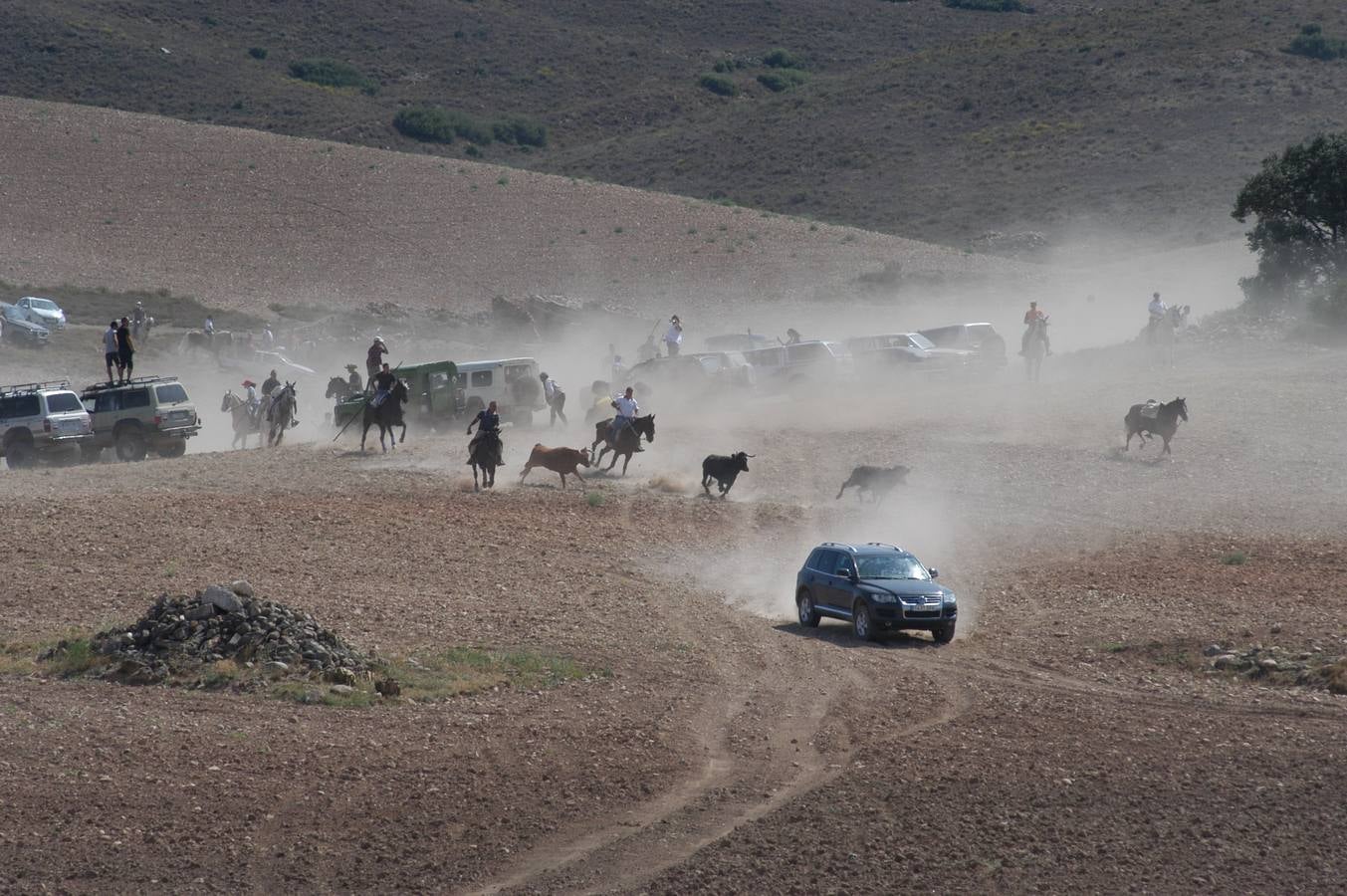 Las imágenes del tradicional festejo durante las fiestas de Valverde