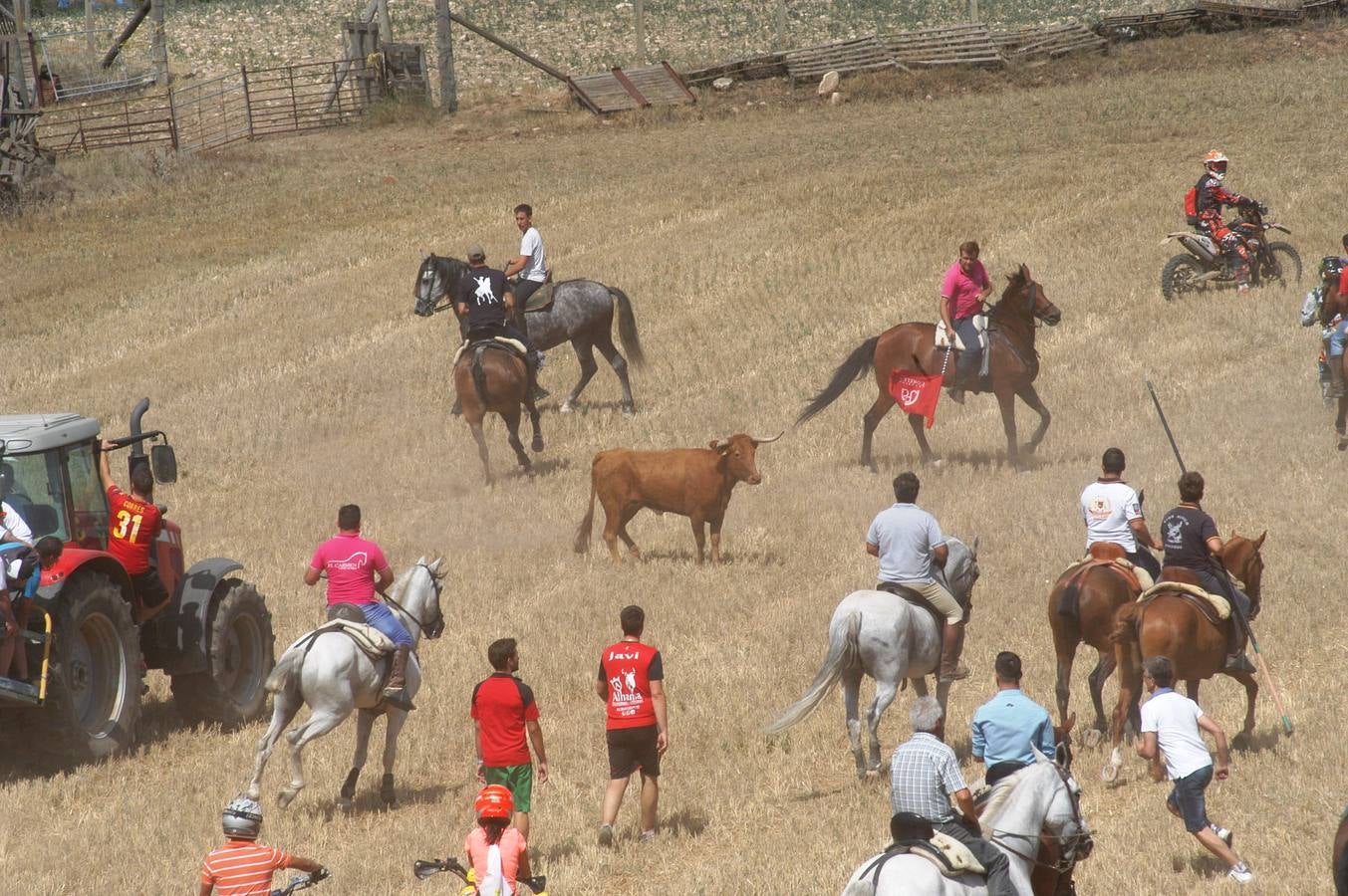 Las imágenes del tradicional festejo durante las fiestas de Valverde