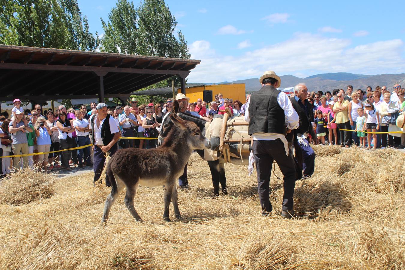 Ocón celebra la fiesta de la molienda