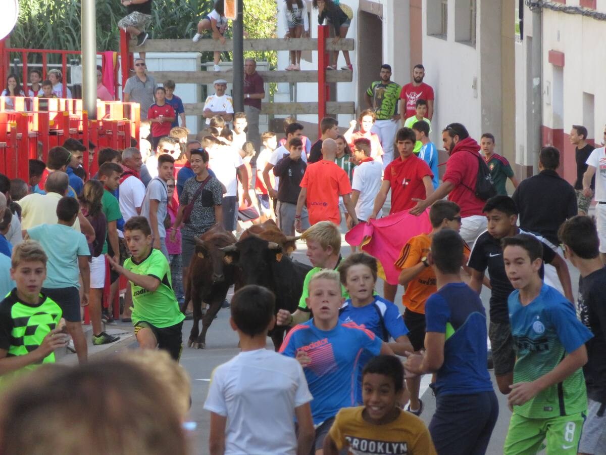 Cuarto día de las fiestas de Alfaro, dedicado a los mayores.