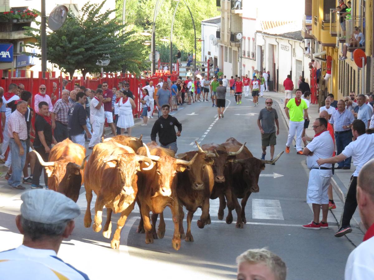 Cuarto día de las fiestas de Alfaro, dedicado a los mayores.