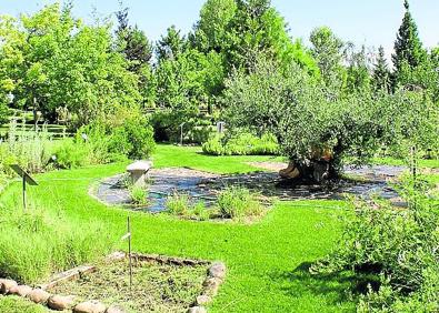 Imagen secundaria 1 - Antonio Bartolomé, en una de las zonas del jardín, en las que no falta alguna que otra laguna. 