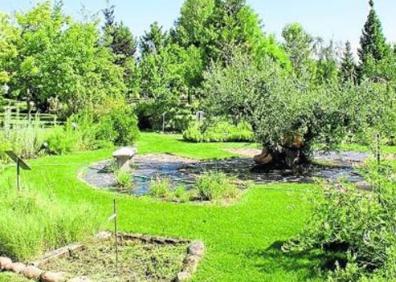 Imagen secundaria 1 - Antonio Bartolomé, en una de las zonas del jardín, en las que no falta alguna que otra laguna. 