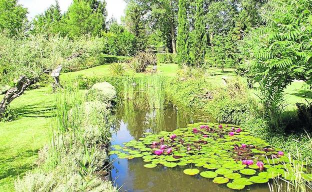 Imagen principal - Antonio Bartolomé, en una de las zonas del jardín, en las que no falta alguna que otra laguna. 