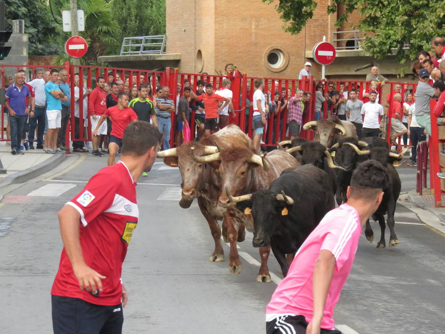 Los alfareños vivieron la tercera jornada de sus fiestas en honor a sus patronos, San Roque y San Ezequiel.