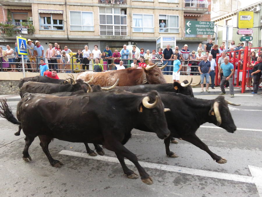 Los alfareños vivieron la tercera jornada de sus fiestas en honor a sus patronos, San Roque y San Ezequiel.