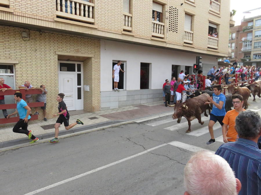 Los alfareños vivieron la tercera jornada de sus fiestas en honor a sus patronos, San Roque y San Ezequiel.