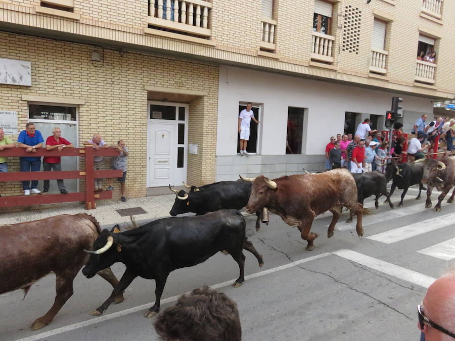 Los alfareños vivieron la tercera jornada de sus fiestas en honor a sus patronos, San Roque y San Ezequiel.